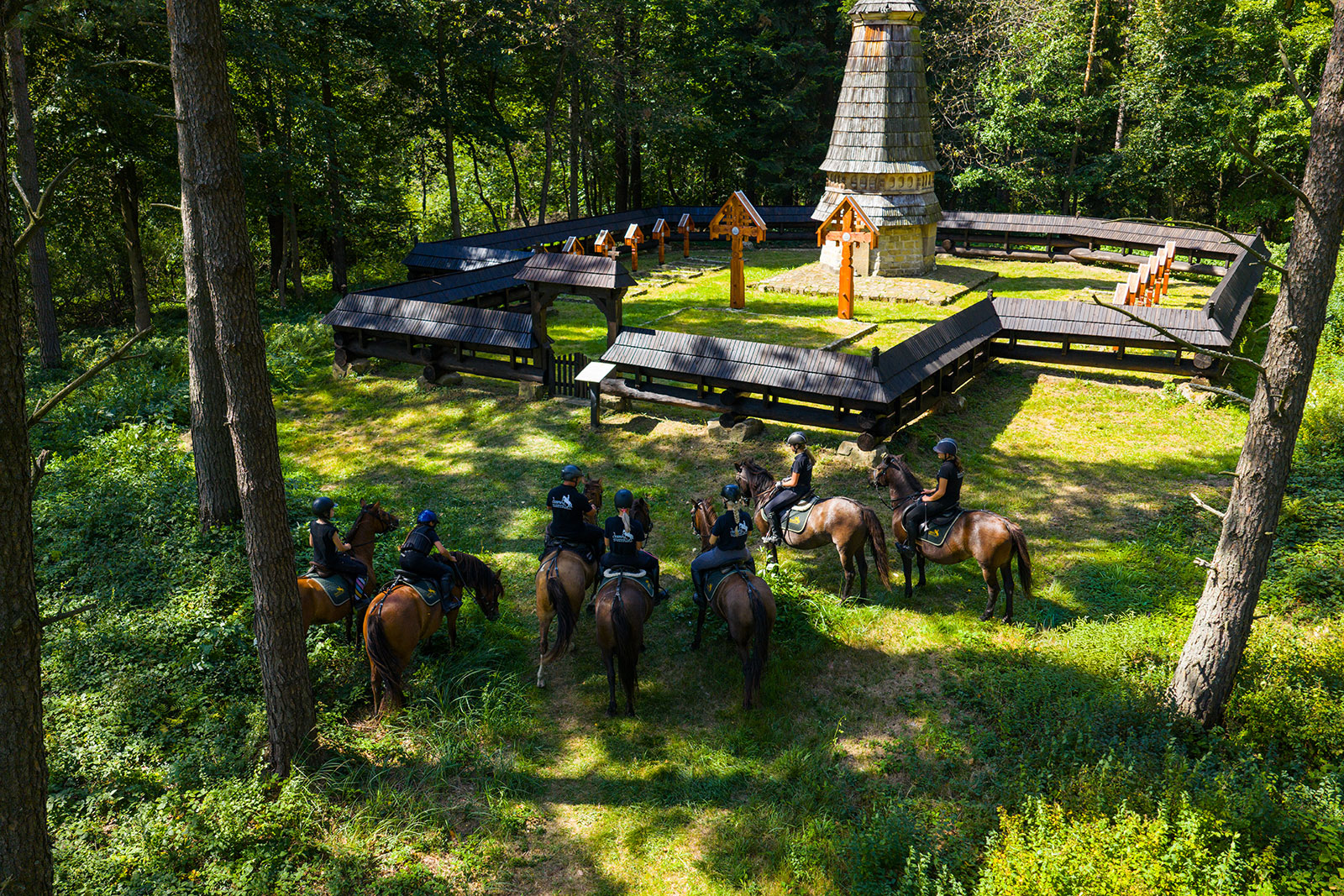 Grupa osób na koniach w lesie