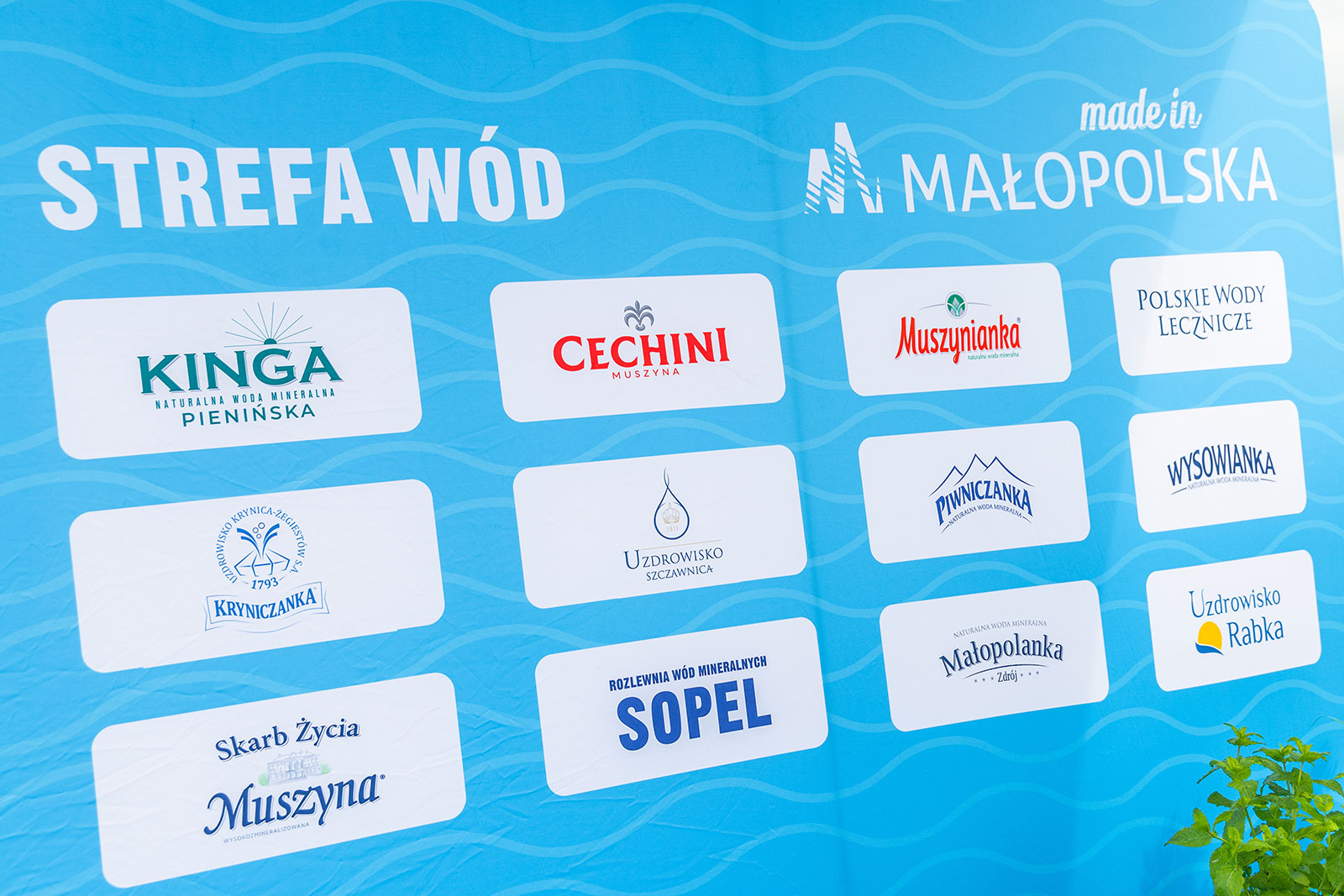 Letnie studio plenerowe RMF MAXX ze Strefą Wód Made in Małopolska