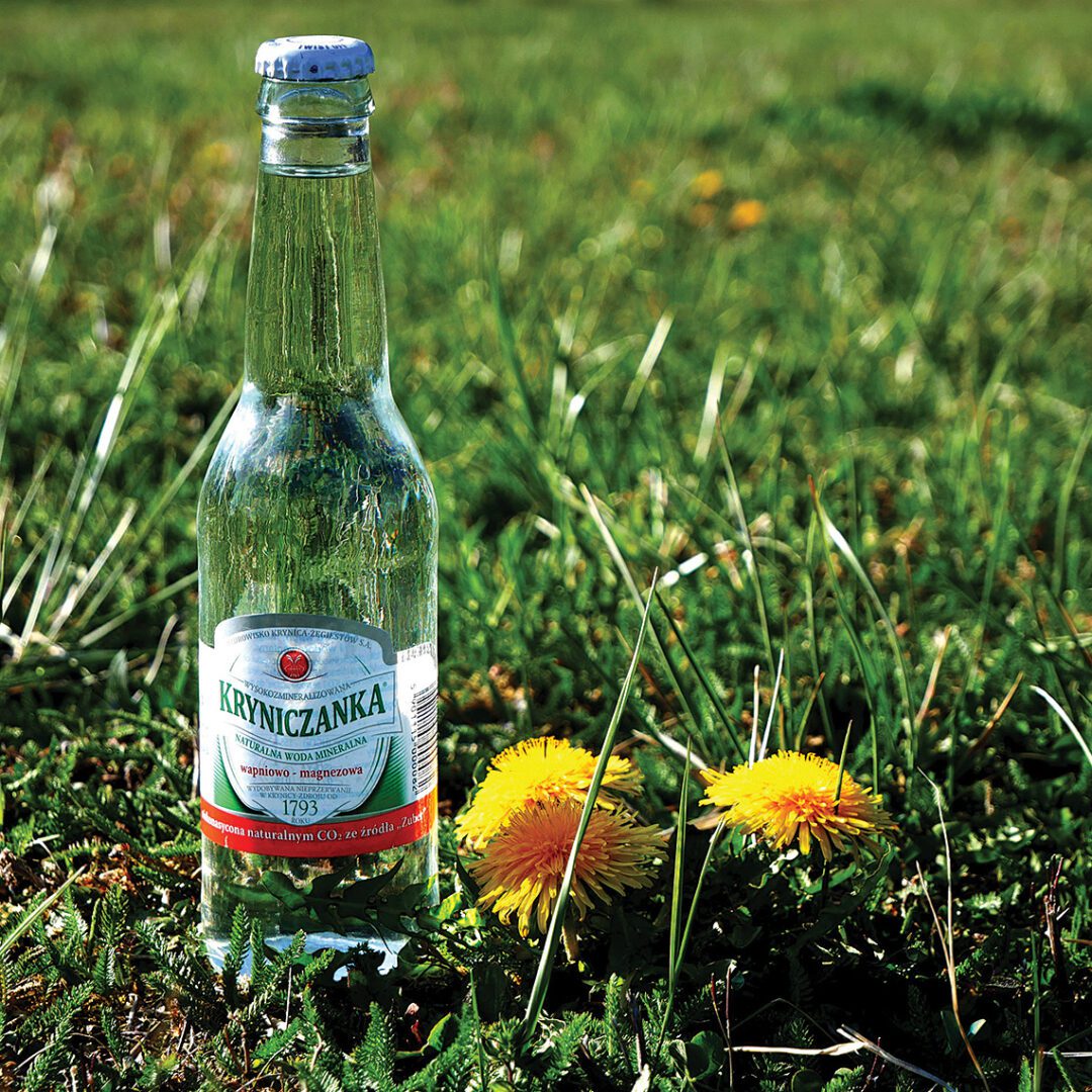 Uzdrowisko Krynica – Żegiestów