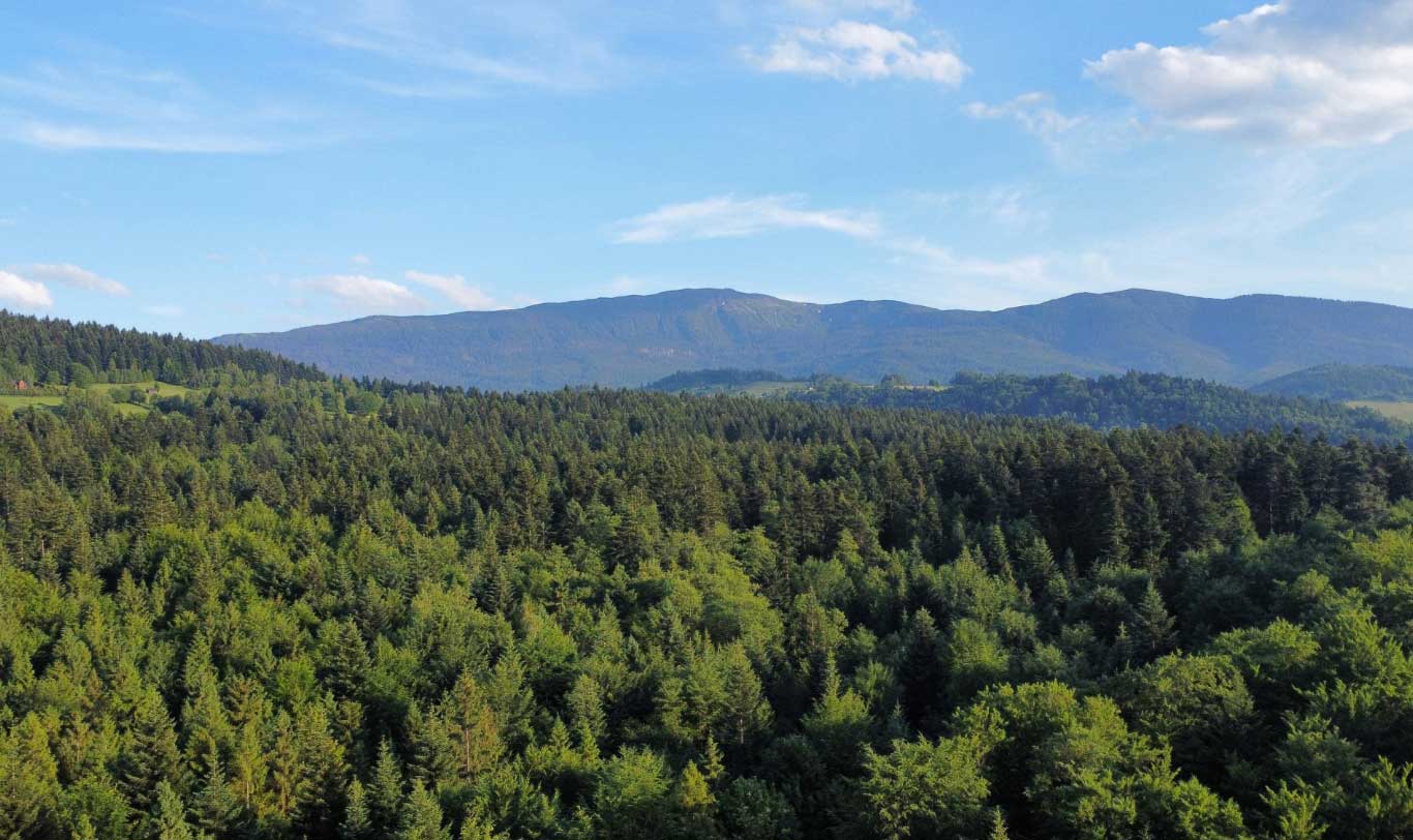 Zalesione góry w Małopolsce. Obrazek hero.