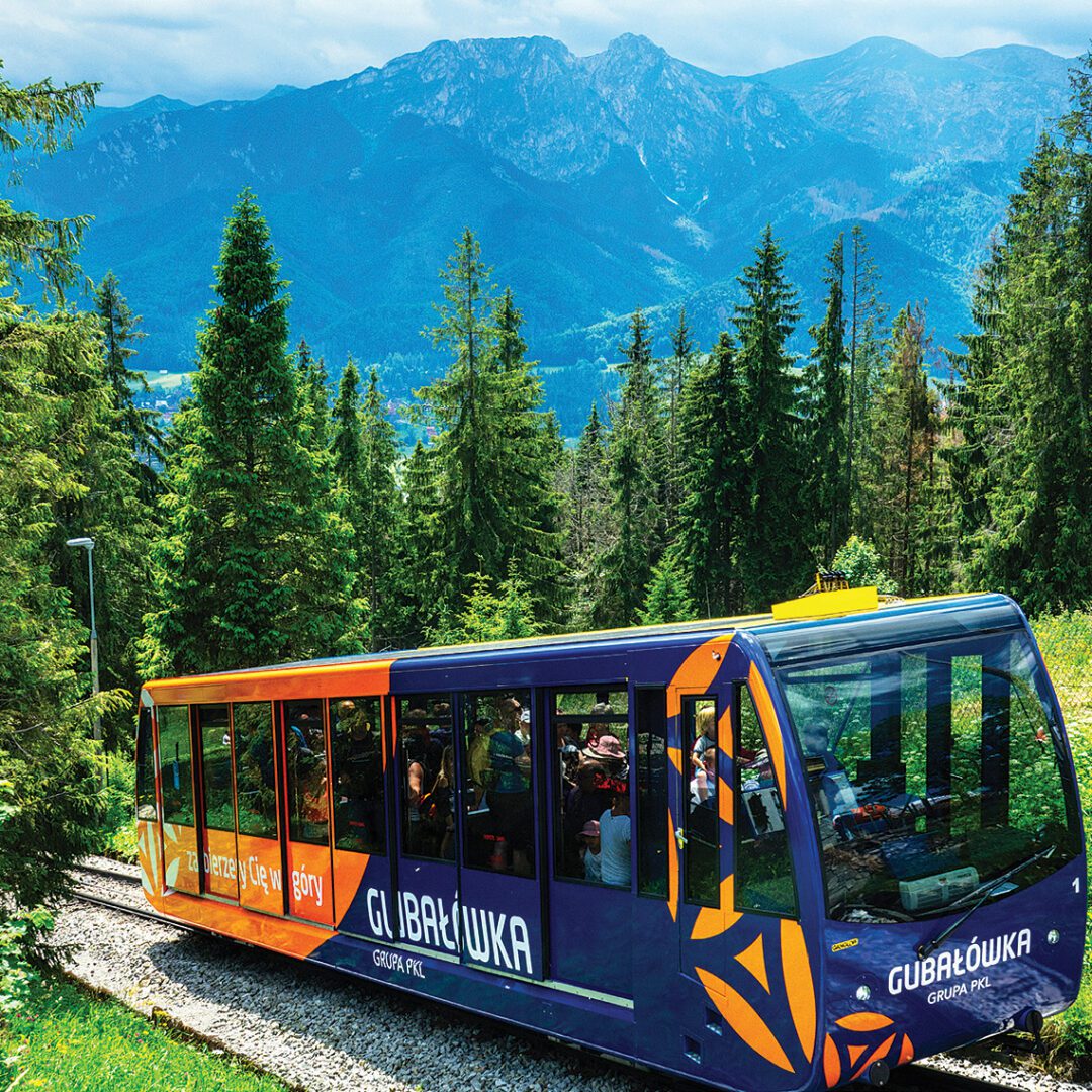 Polskie Koleje Linowe