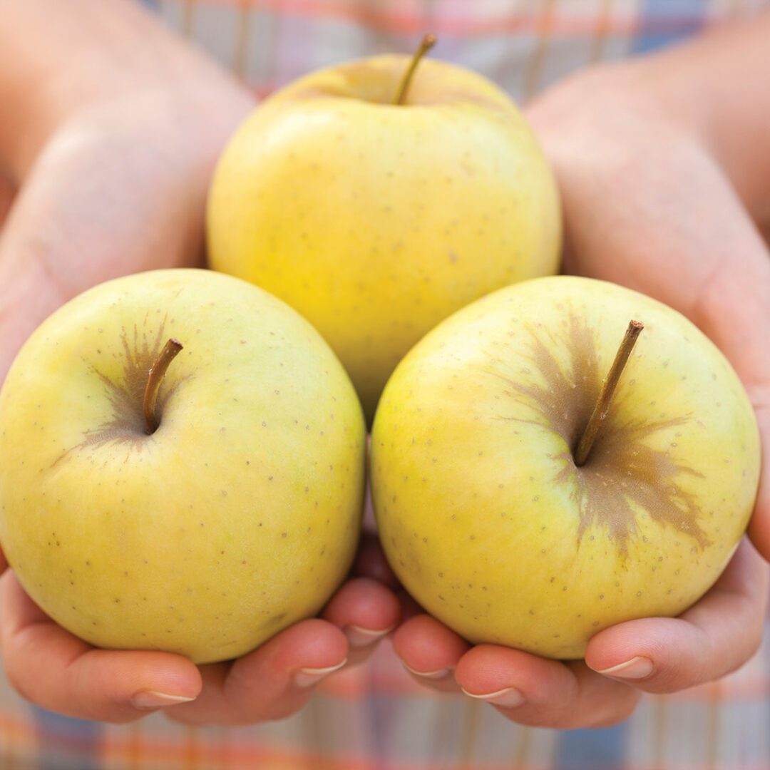 Tłocznia Owoców „Pawłowski”